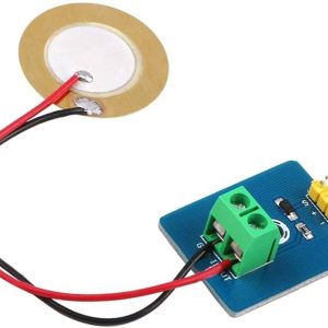 Piezo Module